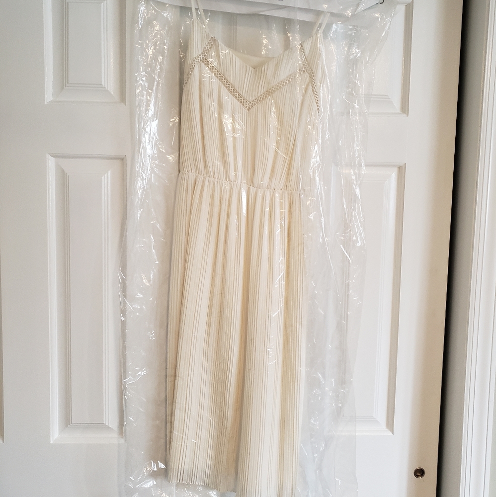 Express Cocktail Dress
